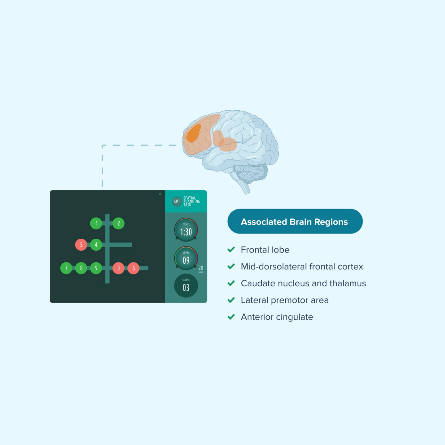 Complete Package: CalmBox + Brain Assessment + Coaching Sessions